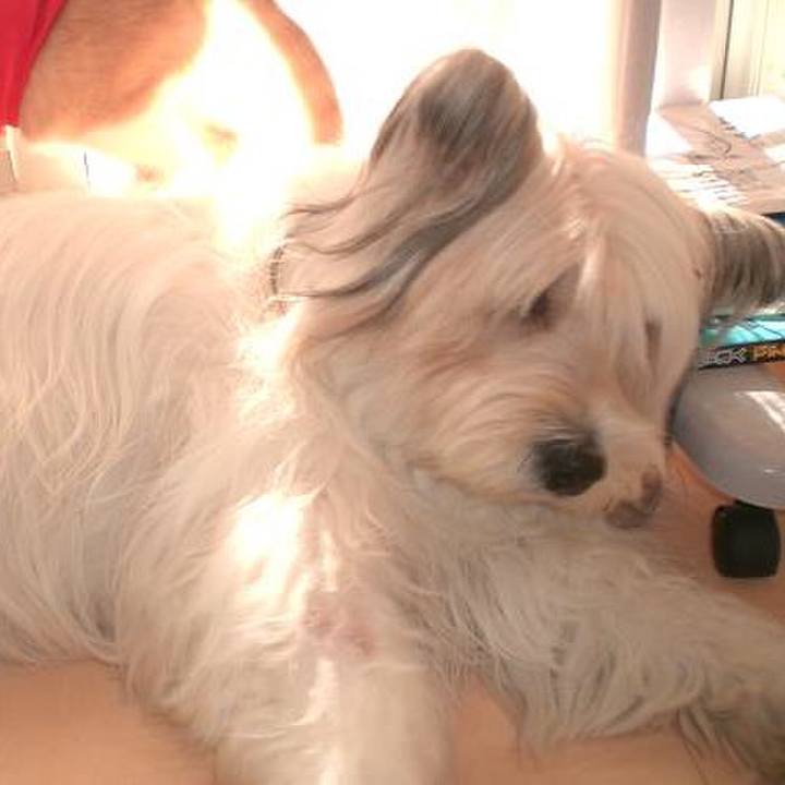 25426893 6bc0 4499 8a28 cc745c3485ee