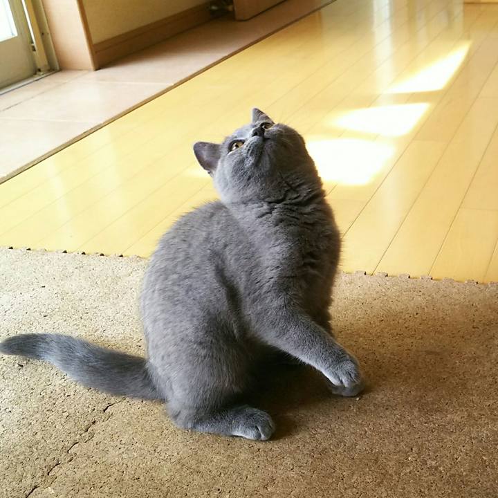 2542a193 d924 49e1 9e16 03719247862a