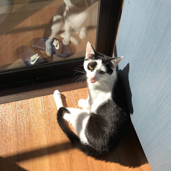 2542eee1 03b2 4fbe a812 a23502cf0509