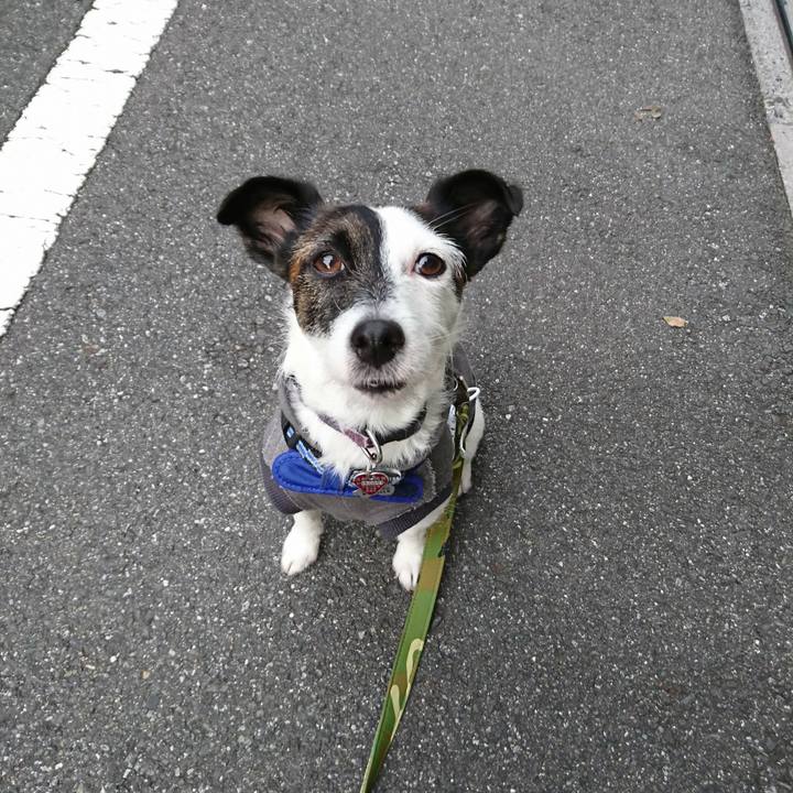 25430f4f 27ad 451a 8c38 40253a930926