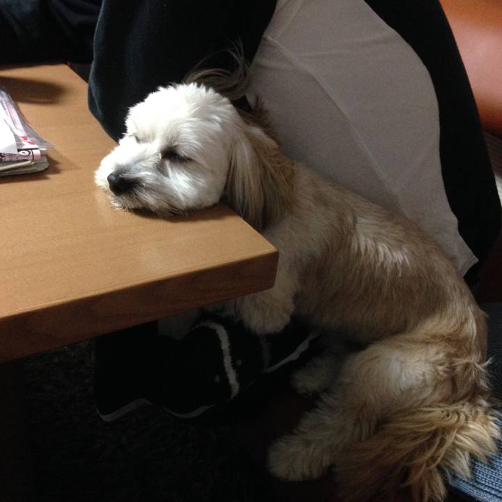 2543e0e5 6fd8 43ee bd9f e90a917bbae0