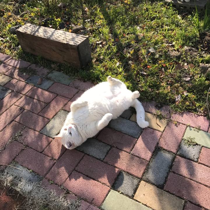 25444565 c669 4b19 bff1 2a350c562c0e