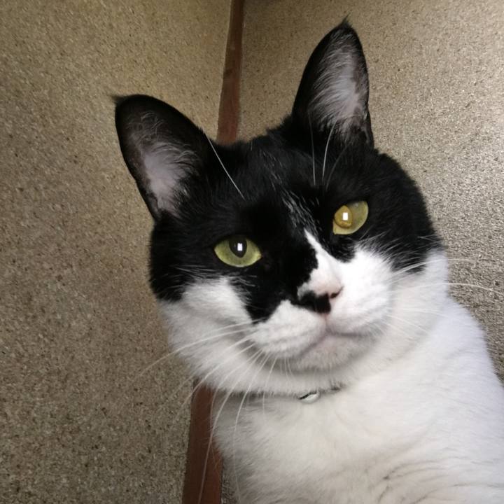 2544e34b 008b 400a 94bf 0a3765d40cf2