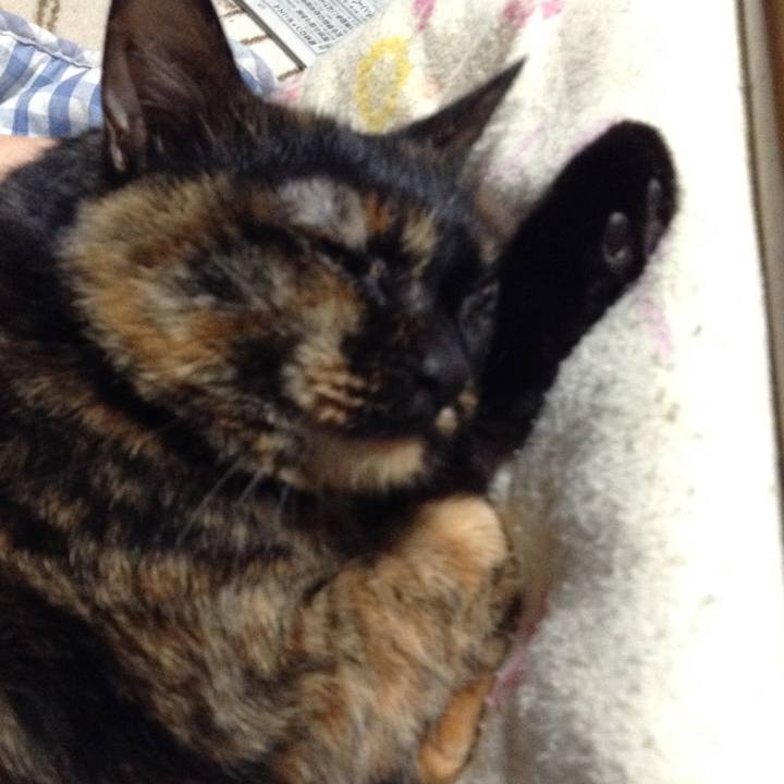 25457e30 0ff1 4534 b993 12f5e40a8191