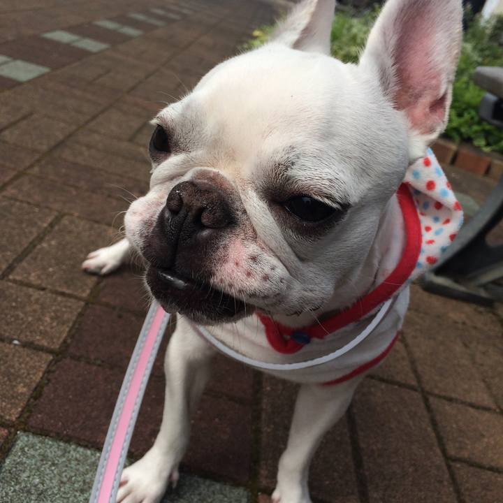 254581ee ad78 477c a8d7 595f68f4c754