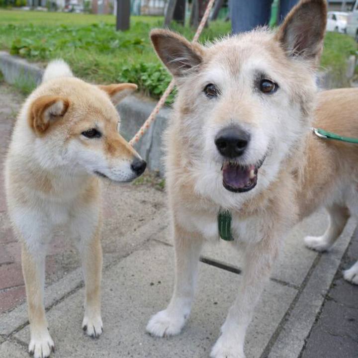 254587fd 939e 454c afcd c35ffc107115