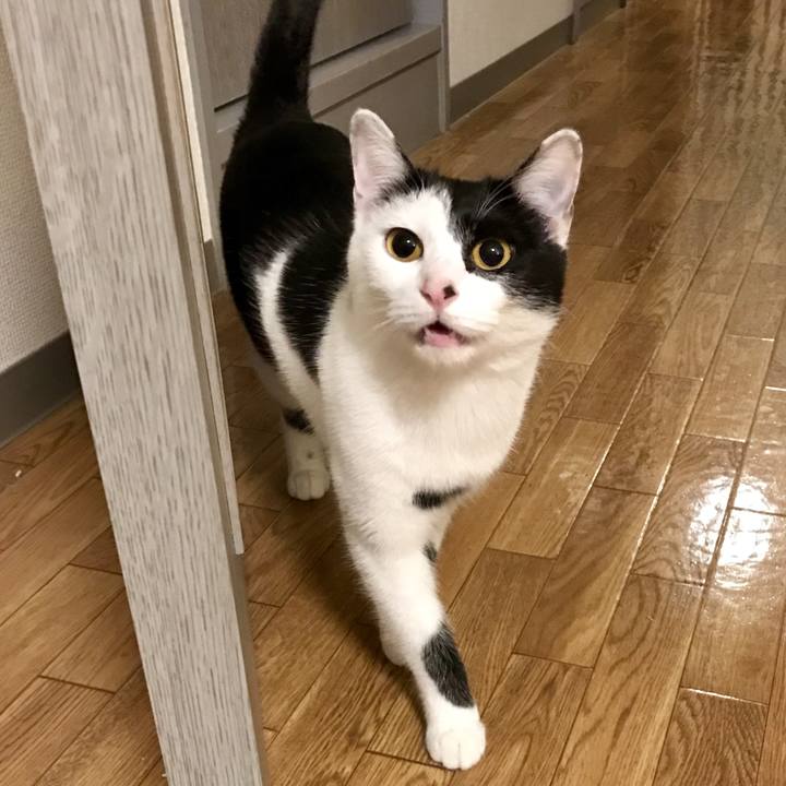 2545d46c f4c8 486b 847a bd51c6bf4b5a