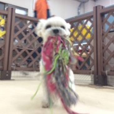 254658cb 13d5 4628 b2c4 df2370fb4528