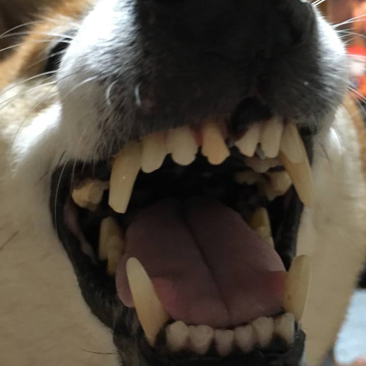 25466562 2c12 47ba 8a88 12d5763ea897