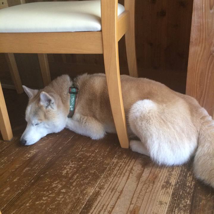 2546997b 237e 444b a35d 4a6547548ead