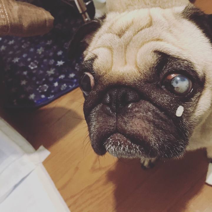 2546c6ba d18d 4eeb 9b4b 02930e17e4de