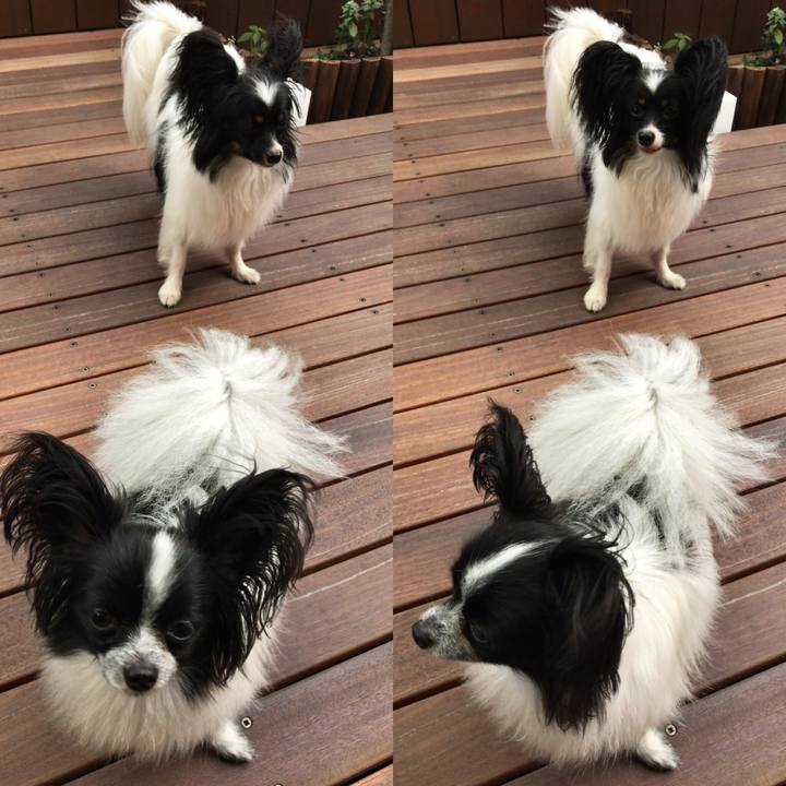 2546d22f 1d74 4de3 93cc 9c998f3848a6