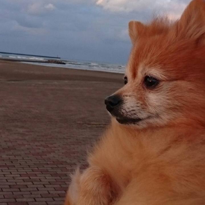 254748ab f049 4200 bd49 7966abfb0e51