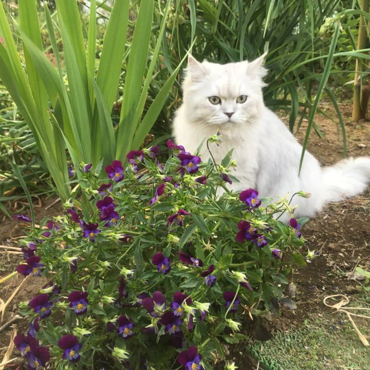 2547ea00 8640 479f b8b5 1d58369c14ad