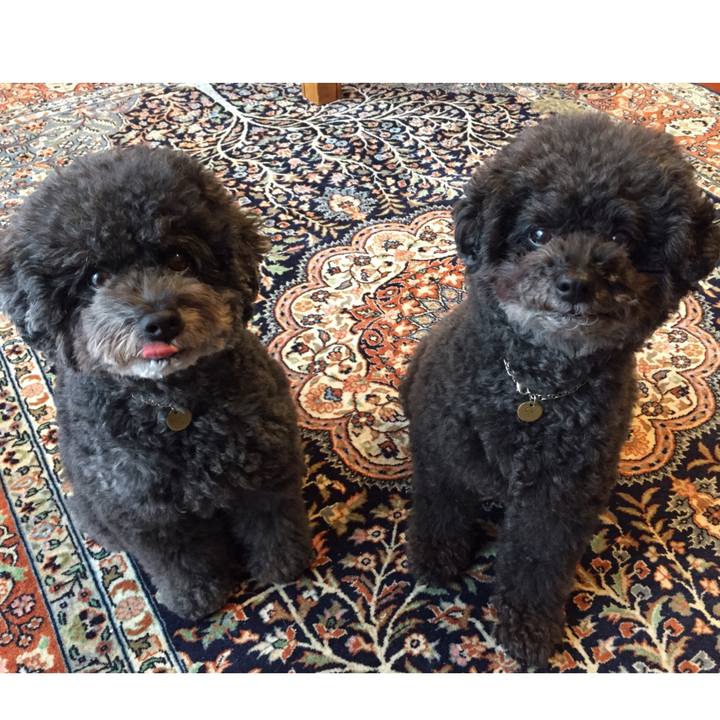 25483869 ac52 4c4a 9546 1a707fa40dfa