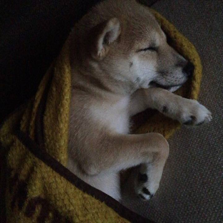 2548caf0 d96f 4a50 8ded 668fb51067dc