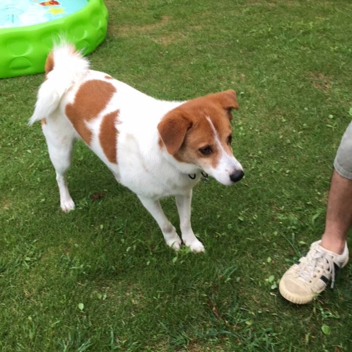 2548cdfc 3241 49a2 870f 94631486ce50