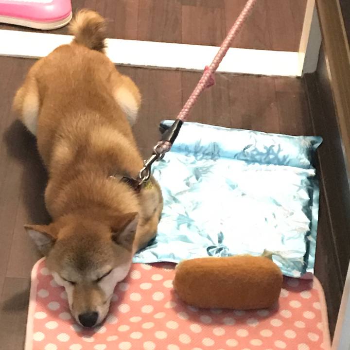 2548cfff e474 4ad3 ab99 1fe9903dd341