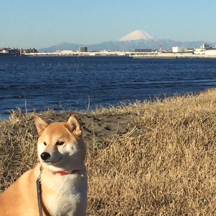 2549783f 8803 4826 9304 56b60c0a8bff