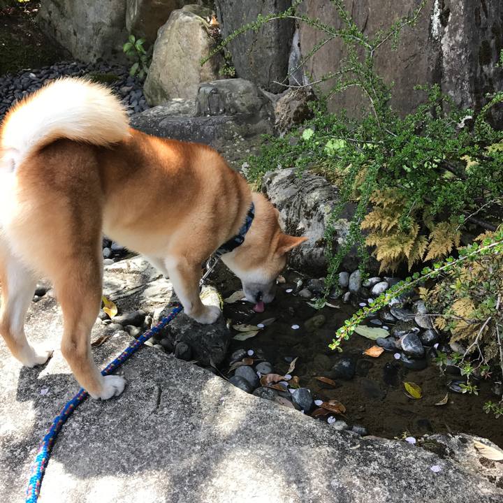 254a3b20 c6a6 4391 abbd af07d6b9a346