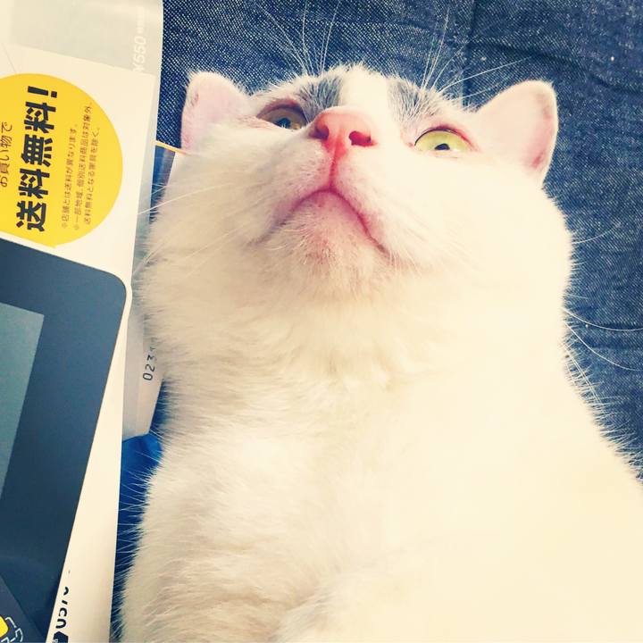 254b183f a339 4796 95e1 c19aa09d7206