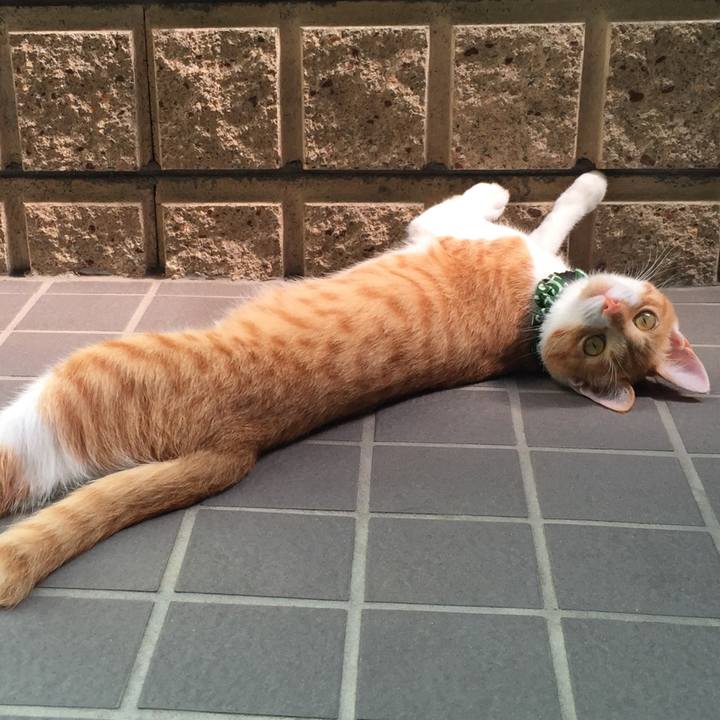 254b85a1 1358 45b7 adae 67c93255a59f