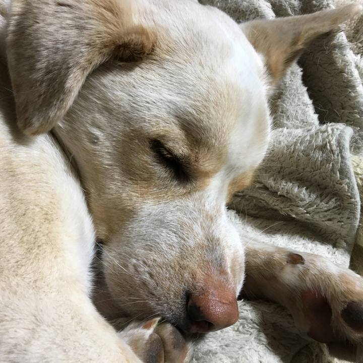 254c9fa7 94ff 4a06 8d64 1d29f9ef9838