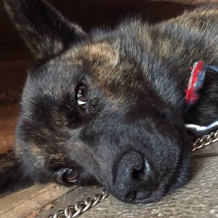 254d9154 9171 4bea af15 5b6958b2bfc3