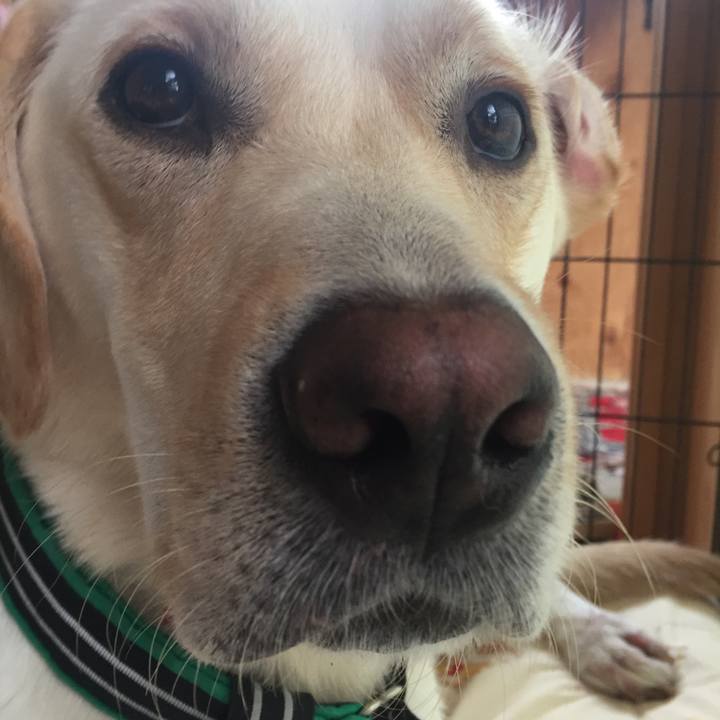 254d9288 b463 49ca a213 cd50bfaf9caa