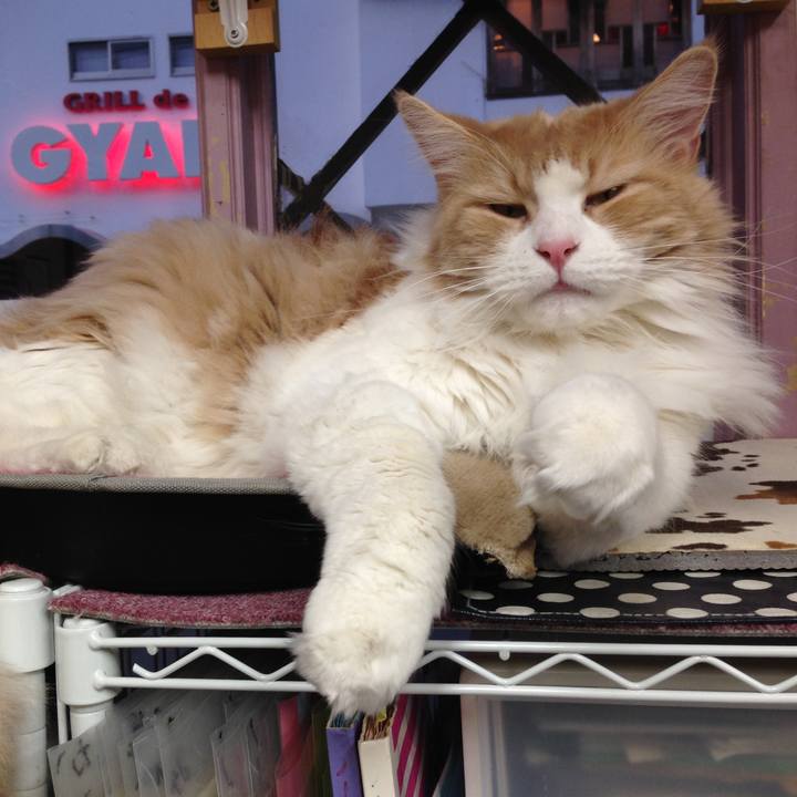 254db953 4970 435f 879b 196858299f72