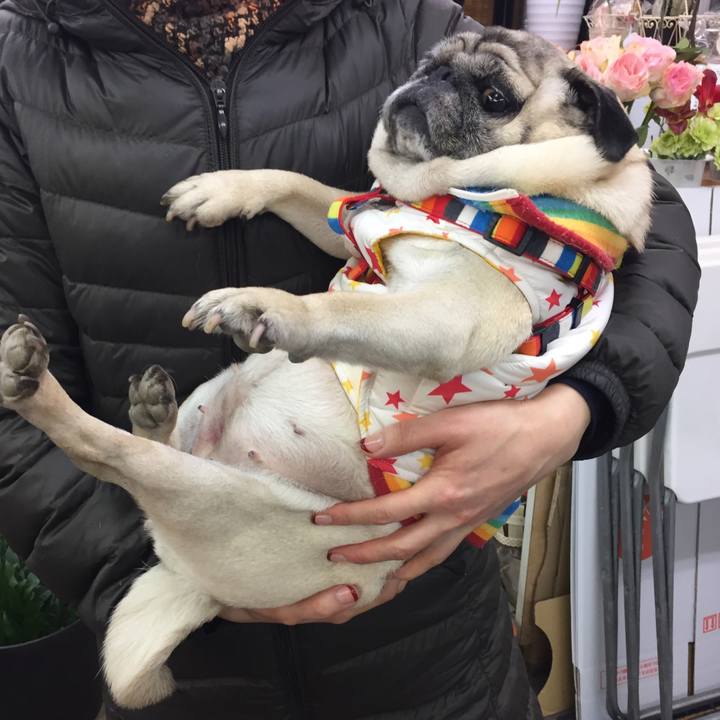 254dfc5b 9664 4165 b0dc 3310f6d30243