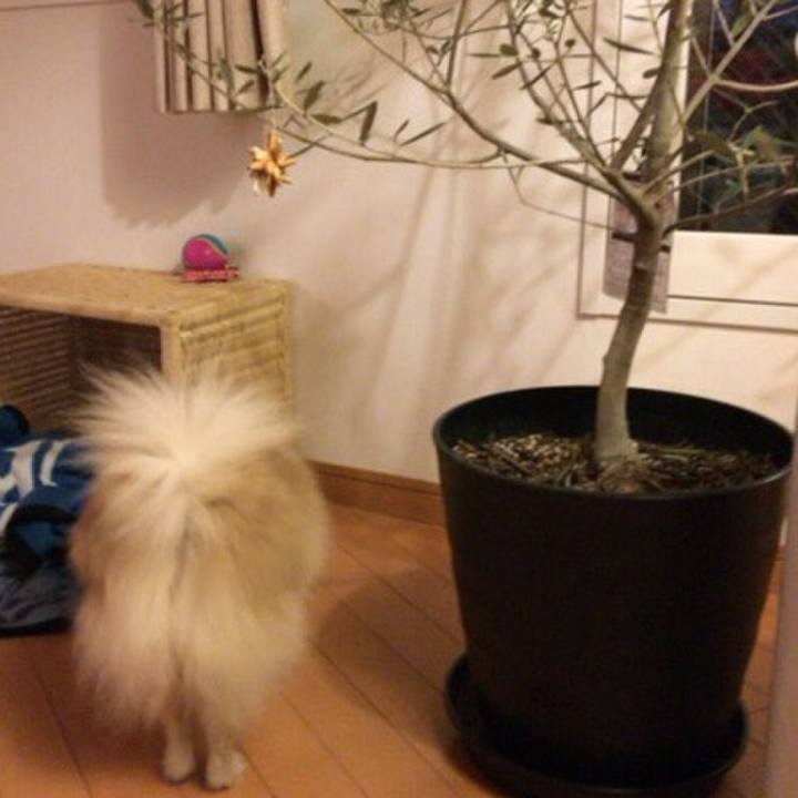 254e1728 3a1b 43a4 a577 eae21bd8bae6