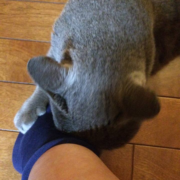 254e4e26 925d 4ad4 b0b8 f55cfd8521be