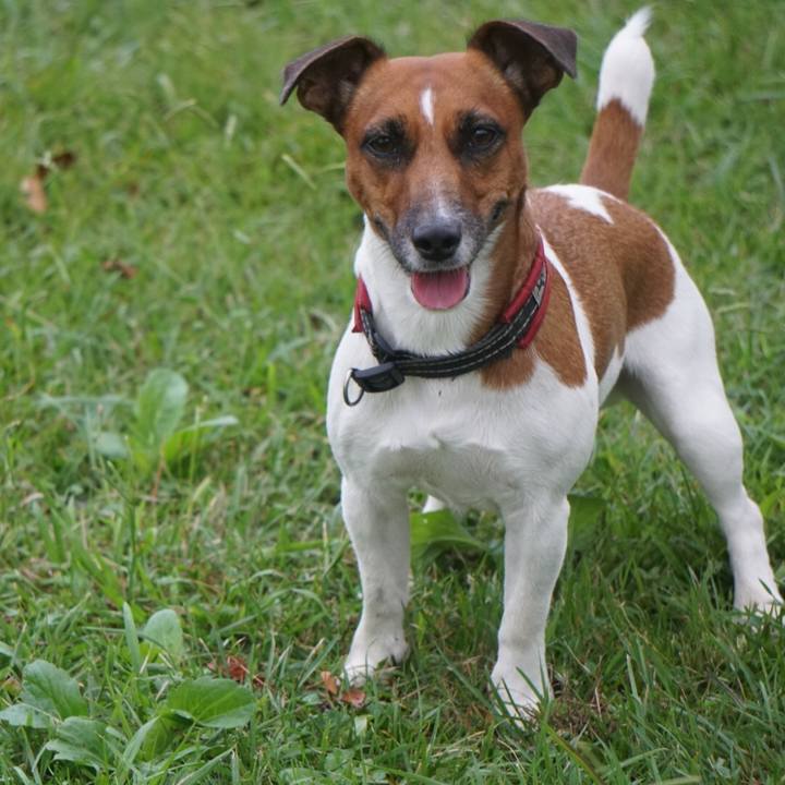 254e5a81 a1a1 4514 98a9 50abc674ea7e