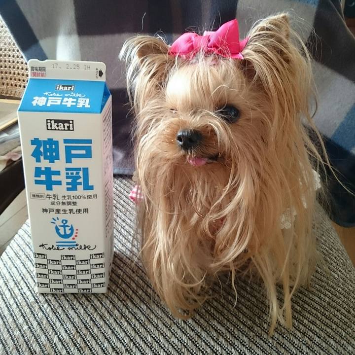 254fb0d6 bf05 4391 ae50 b2e18ae04397