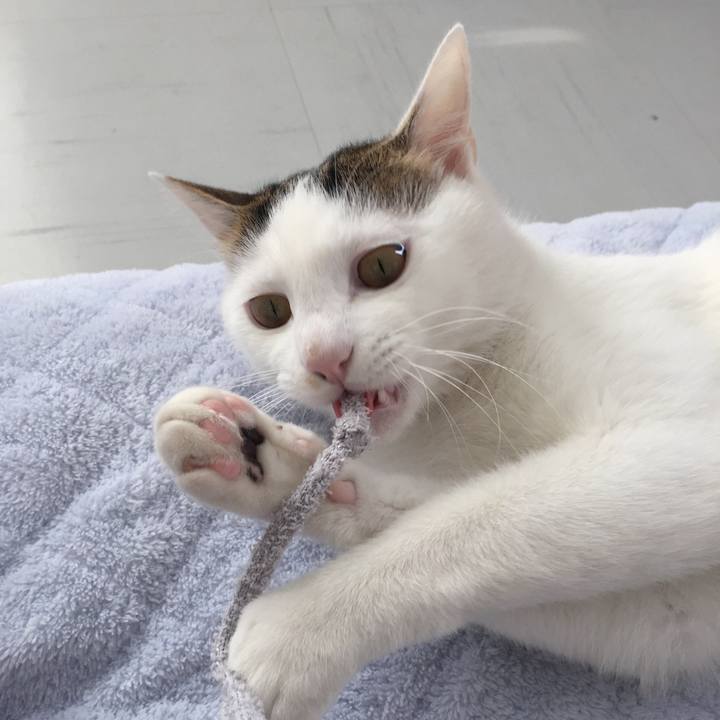 25506576 6607 42a7 9da7 fde907c12c5f