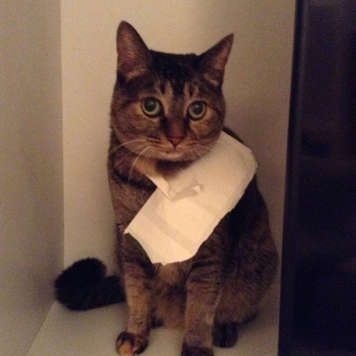 255102dd 6c1c 46ec a0fa 7ca9c5677cde