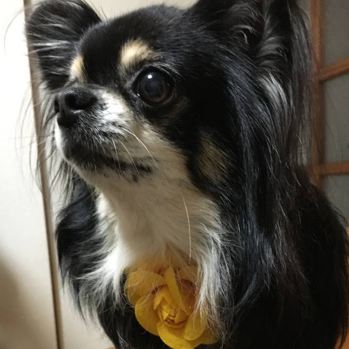 25517768 e59d 4bb3 9575 29d20aa9910a