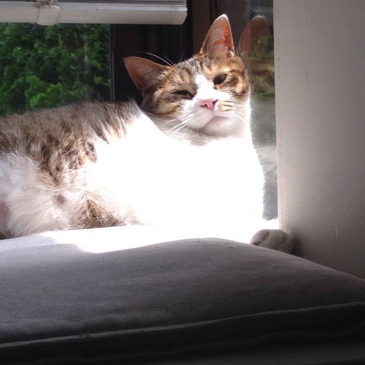 25525ebe fbd2 4896 b719 36c0903303c6