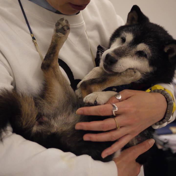 25528560 ec67 4297 8971 6408bf2d72f7