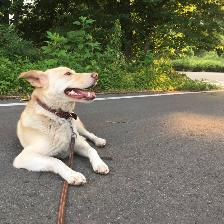 2552dbdd a6af 40fb ae20 944ecf5a2b31