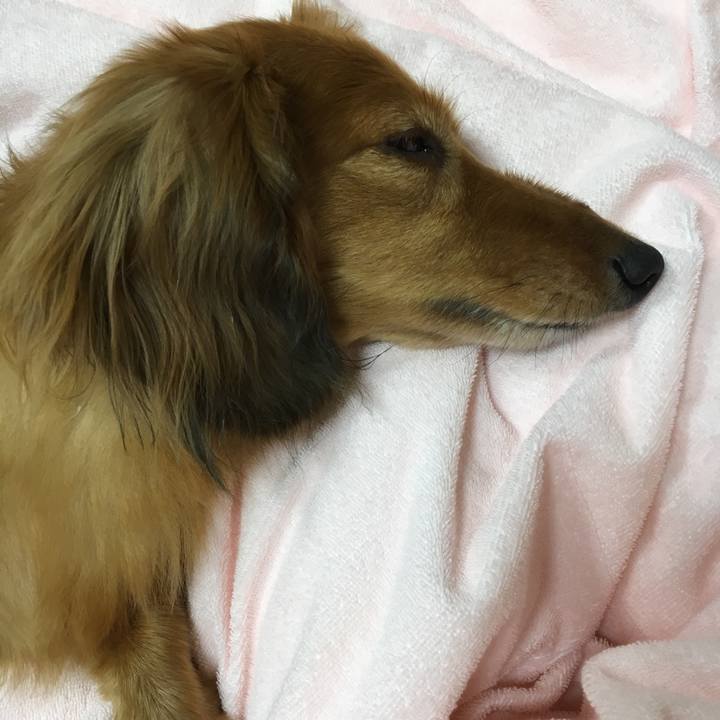 255310b6 69b2 40c2 9bab 065e30039e27