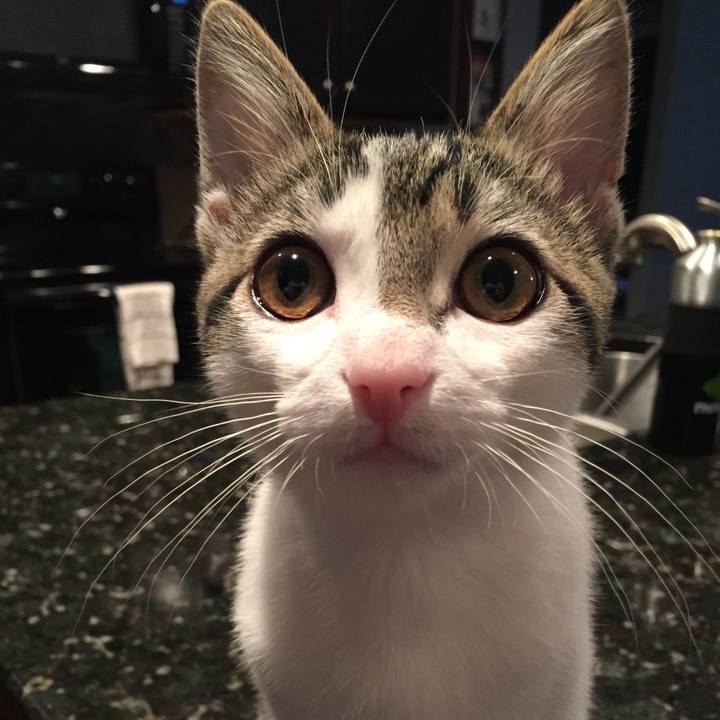 25536748 d1c3 4104 82ad 5769b3f458ba