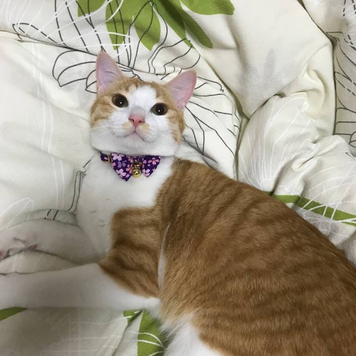 2553dde9 e305 4a67 9522 0f1be67021ba