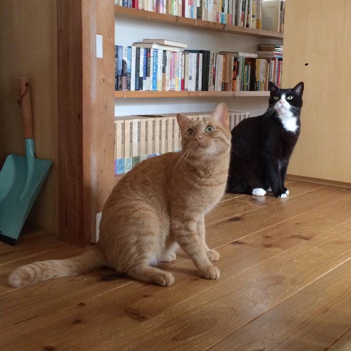 2554b521 5d76 4ec3 900c 154c2dd30649