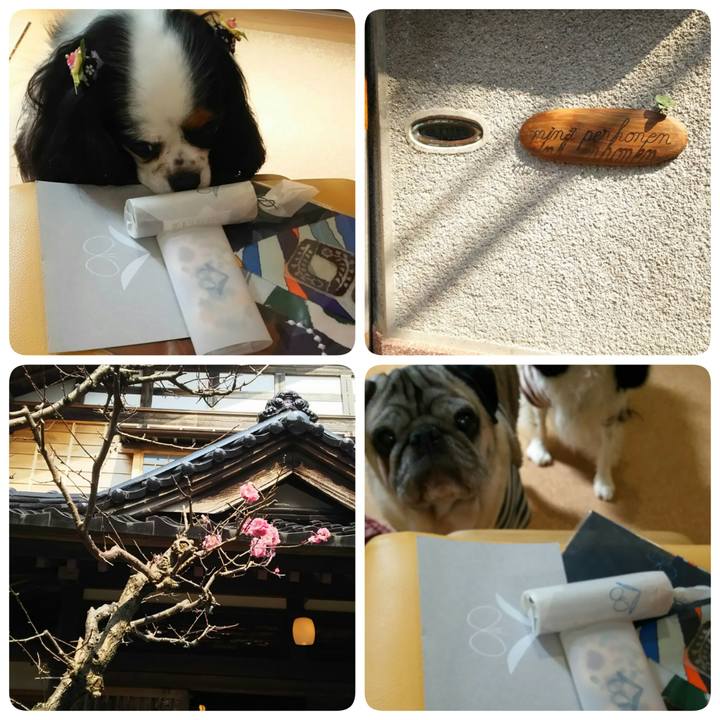 2554da2e ec37 4972 8b69 ba6219dffe25