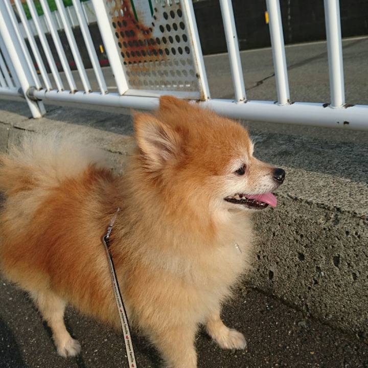 2554e232 922a 4701 b16a 1a70cd32e10f