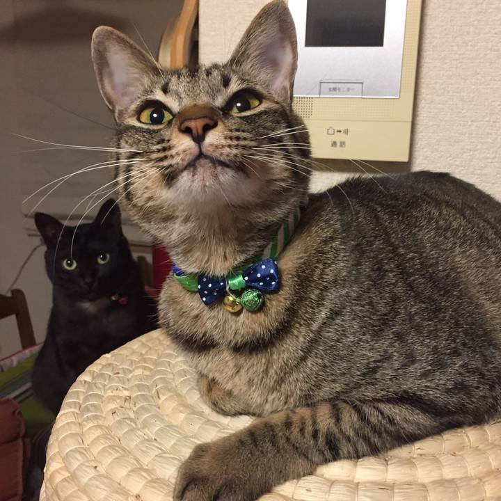 25550577 9b70 4437 ac2a 510deb95ed01