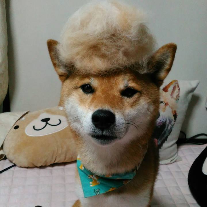 25554782 4b9d 4ba7 8734 839f76189841