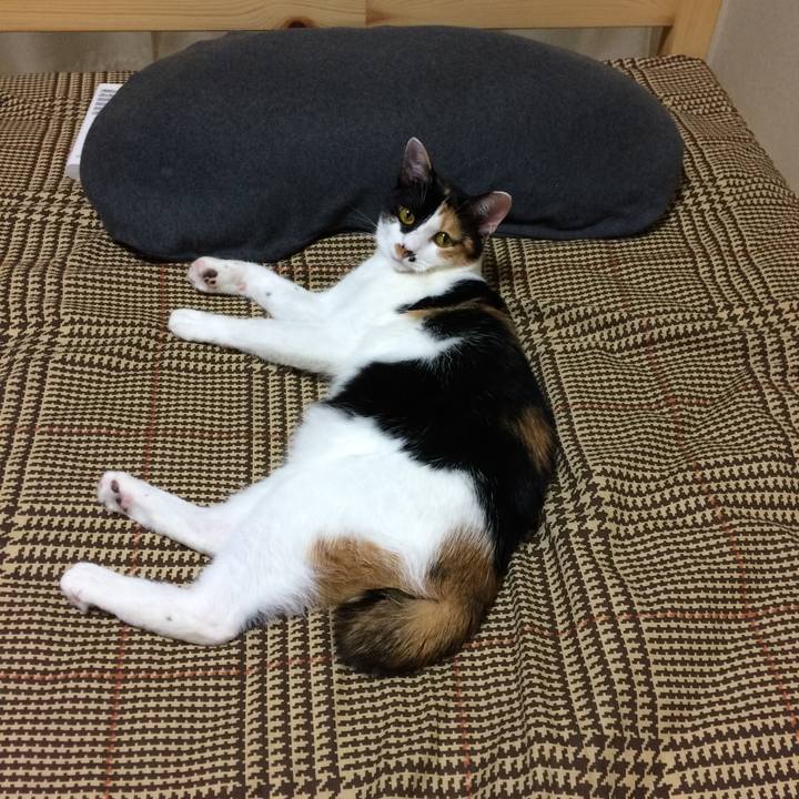 25561607 d7f2 4be0 801b 192077ba8167